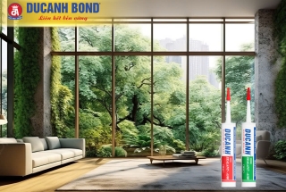 Sự khác nhau giữa keo Silicone trung tính và gốc axit? Ứng dụng của từng loại keo Silicone trong thi công xây dựng